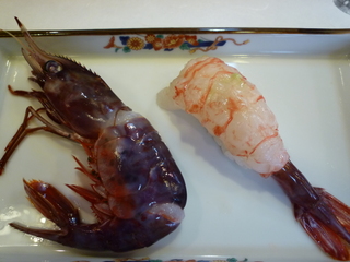 P1000973.JPG